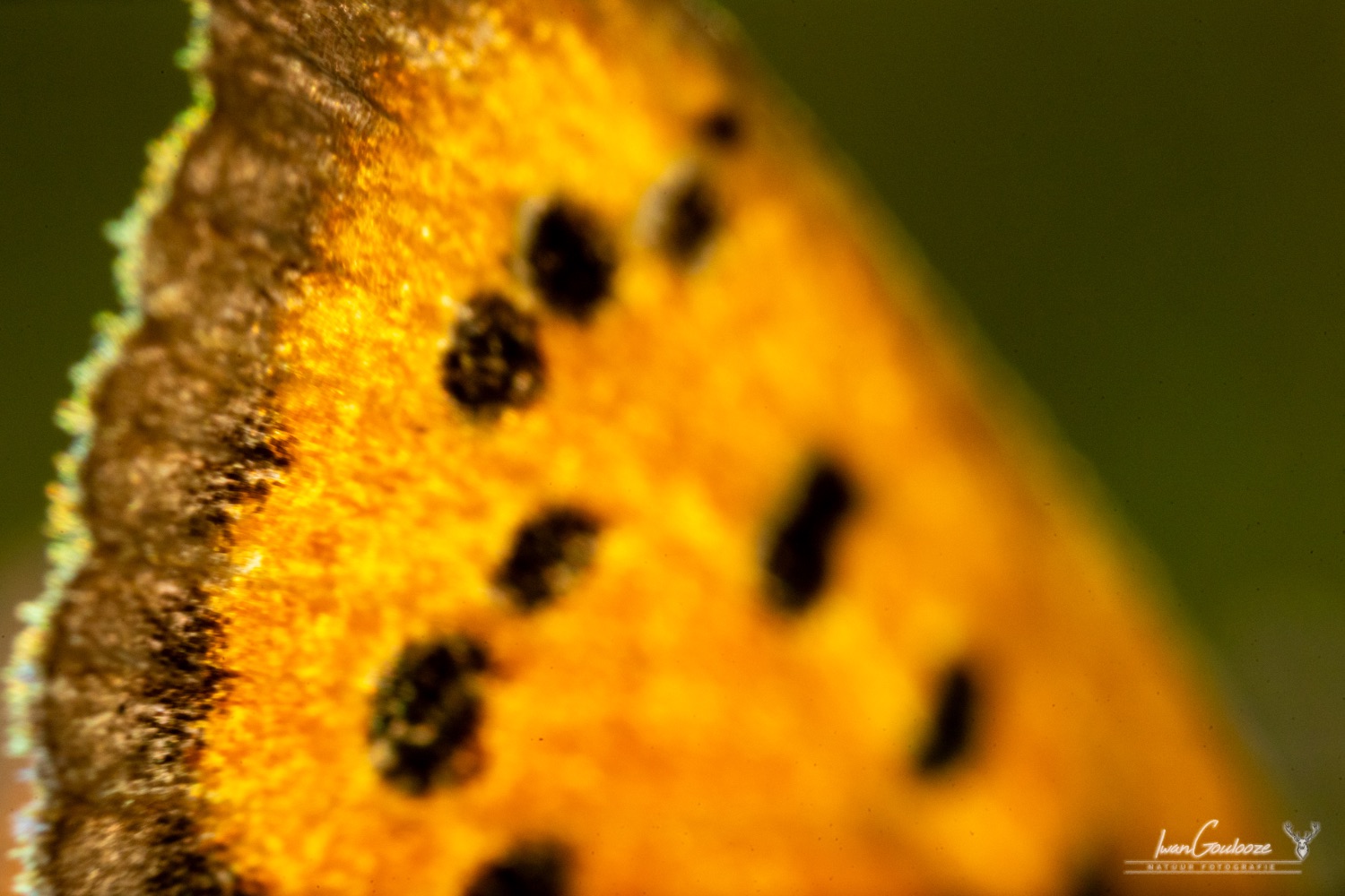 18 september 2023 121135  R2A5849